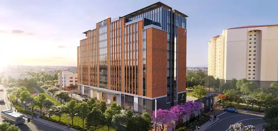 Brigade Cloud Forest Tower View