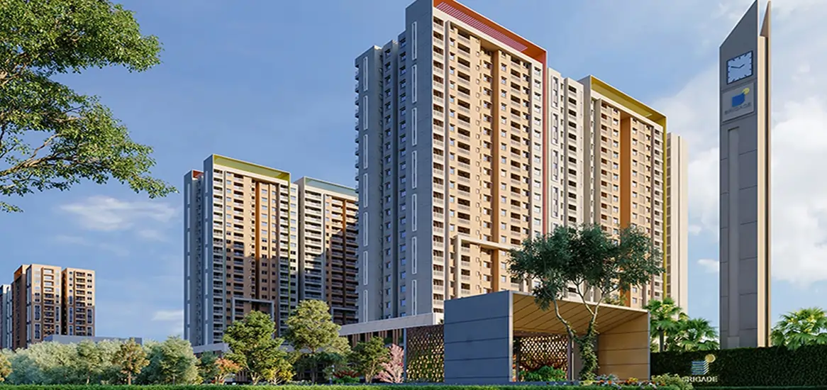 Brigade Cloud Forest